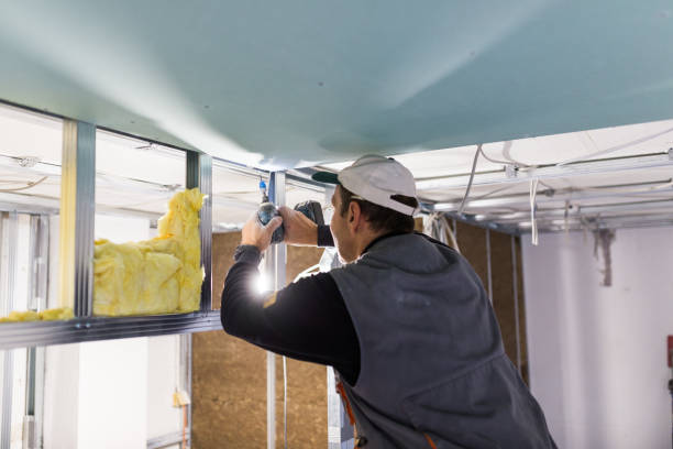 Best Reflective Insulation  in Colchester, IL